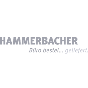 Hammerbacher Logo
